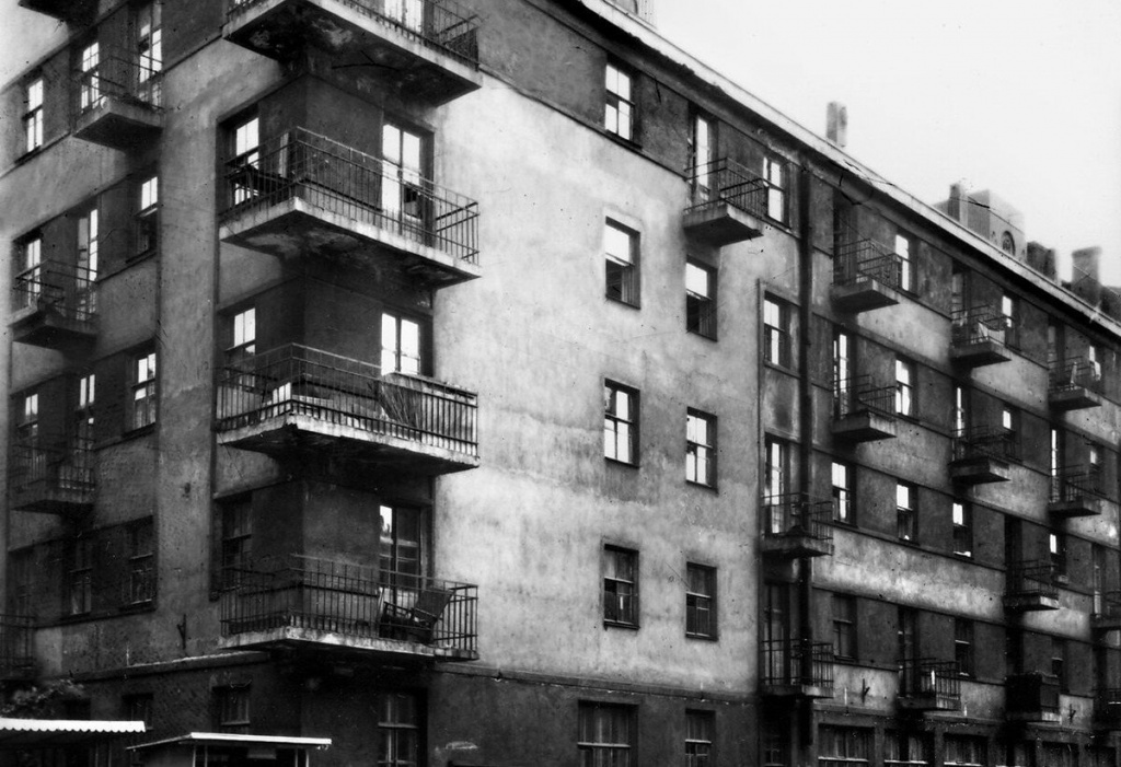 scale_1200 (39).jpeg